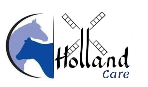 HollandCare logo