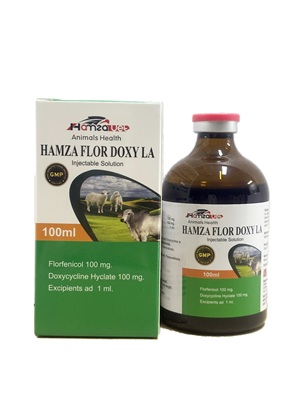 HAMZA FLOR DOXY LA image