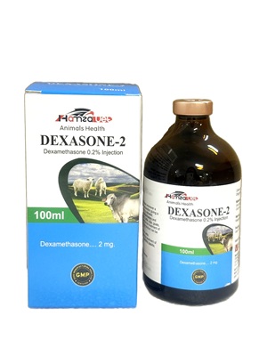 DEXASONE-2 image