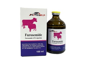 Furosemide image